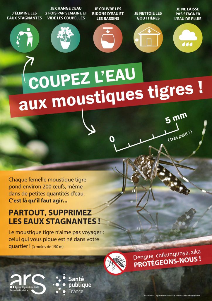 Vigilance – Moustique tigre – Agonac